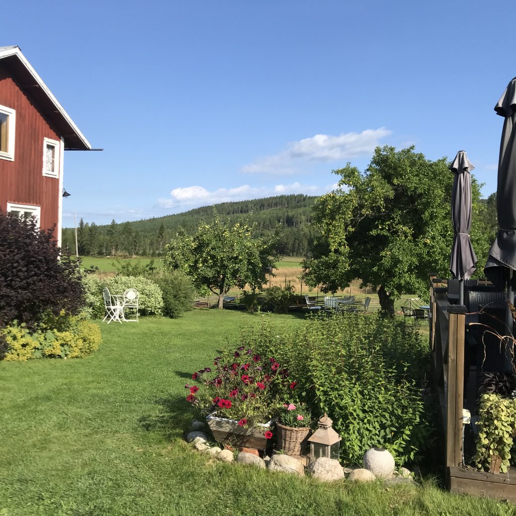 grön gräsmassa på baksidan av gårdstunet